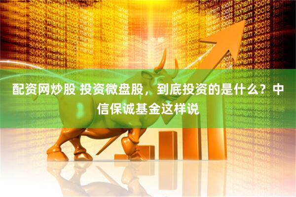 配资网炒股 投资微盘股，到底投资的是什么？中信保诚基金这样说
